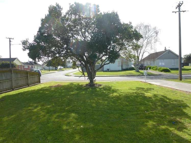 25 Hudson Avenue Bulls_1