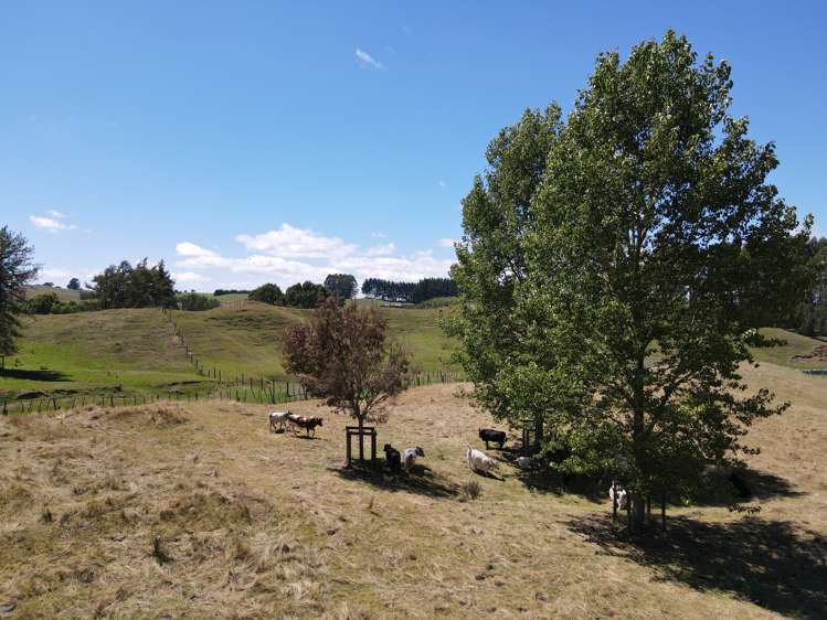 897 State Highway 1 Oruanui_19