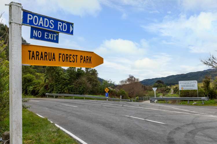 Lot 1, 2, 3, 4/74 Poads Road Levin_7