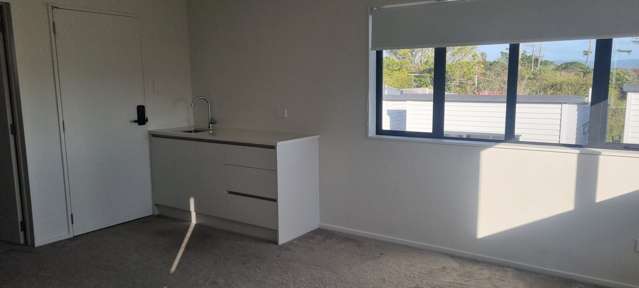 studio/65 Terry Street Blockhouse Bay_2