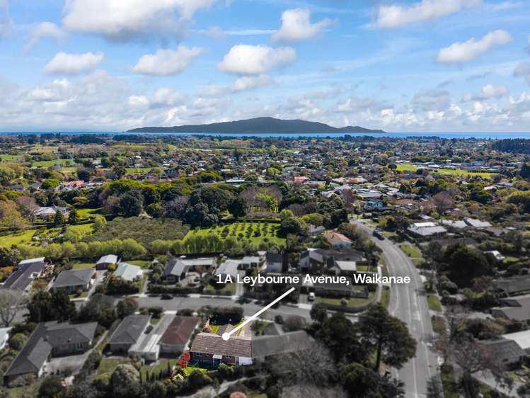 1A Leybourne Avenue Waikanae_14