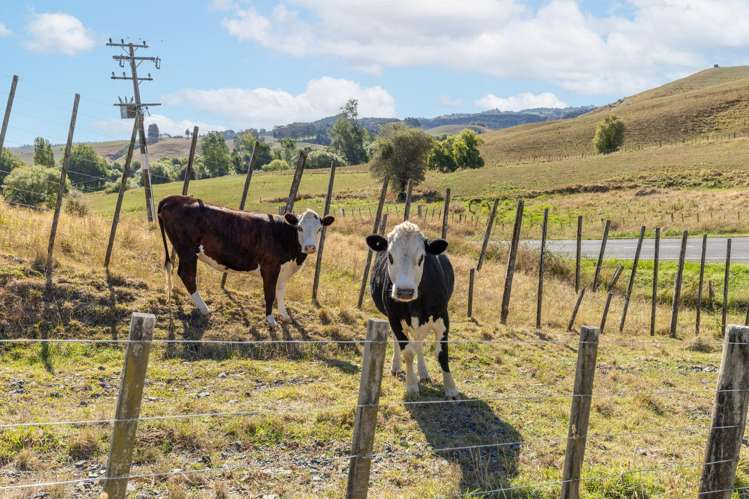 134 Ouruwhero Road Otorohanga_23