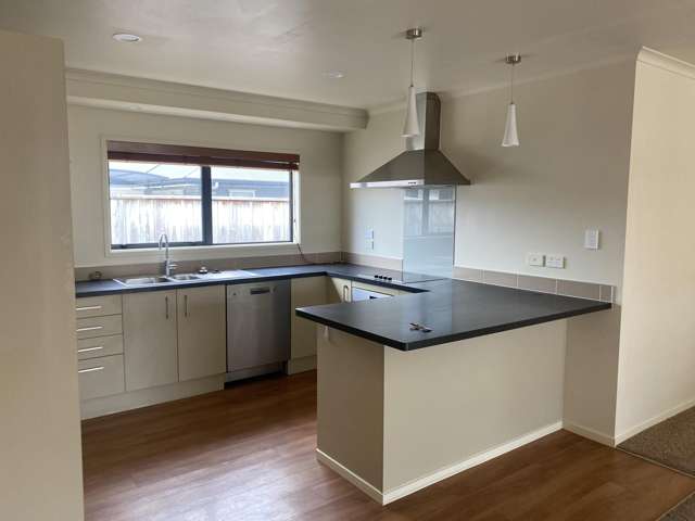 77 Denbigh Street Feilding_2