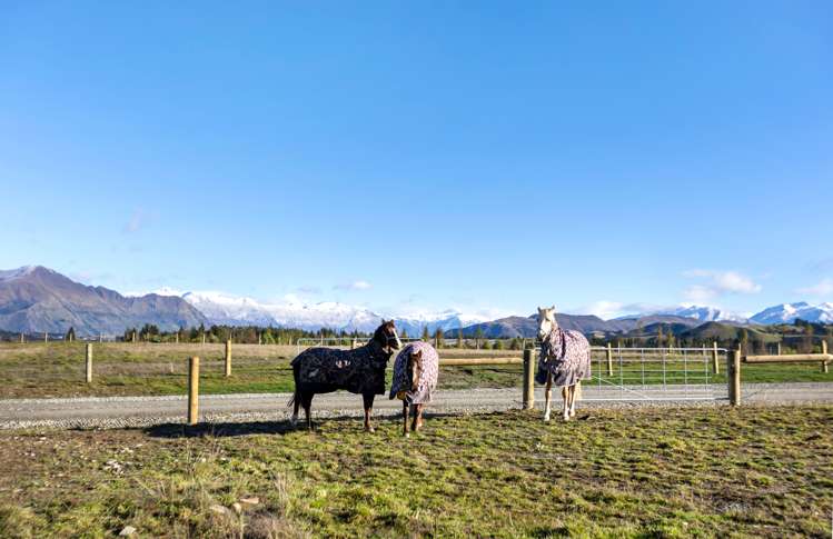 148 Fowler Lane Wanaka_13