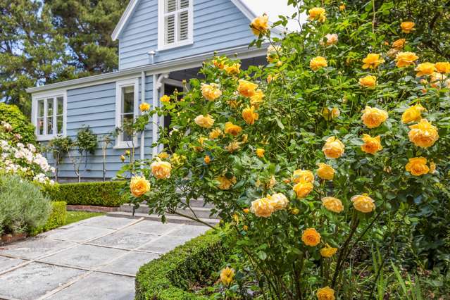 211 Summerhill Road Cust_4