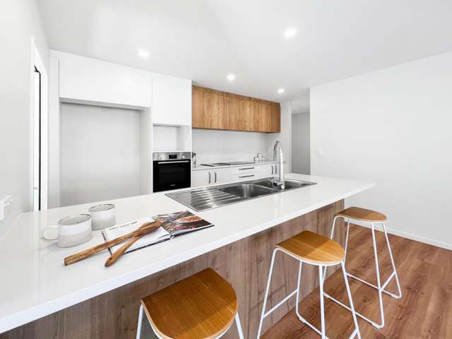 981 Goulds Road Rolleston_4