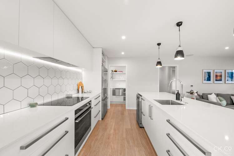 15 Adelaide Street Petone_9