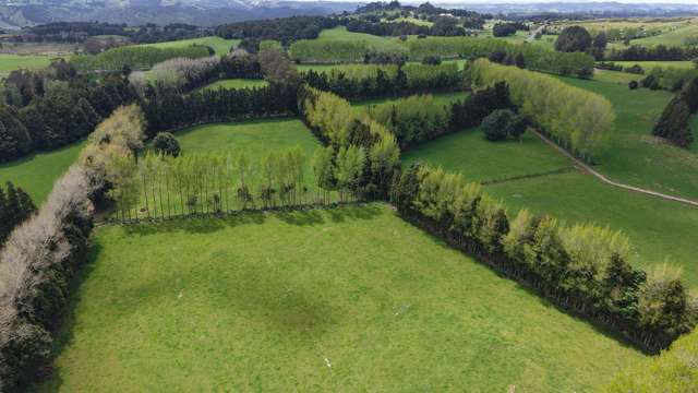 664 Te Pua Road Kaikohe_4