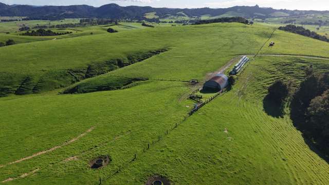 256 McIntyre Road Oromahoe_1