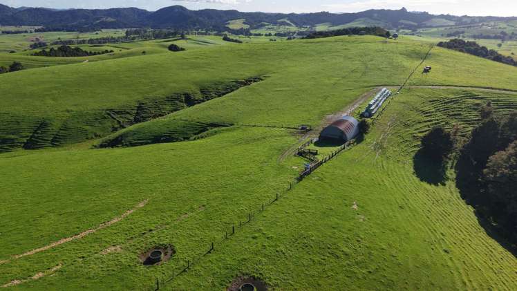 256 McIntyre Road Oromahoe_1