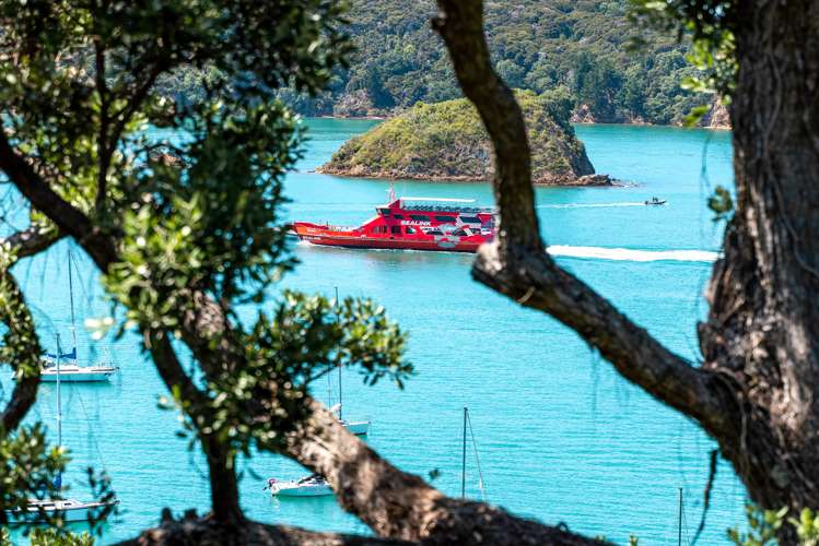 8 Kennedy Point Road Surfdale_16