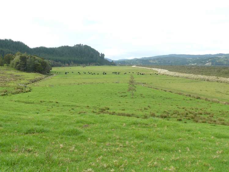 477 Happy Valley Road Umawera_14