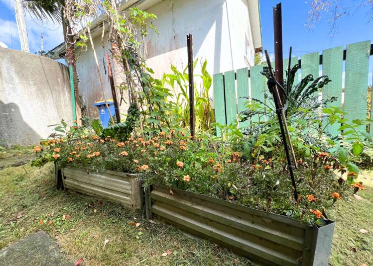 17 Okura River Road Okura_13