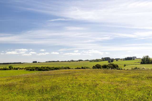 Lot 11 Robbie Lane Ashhurst_3