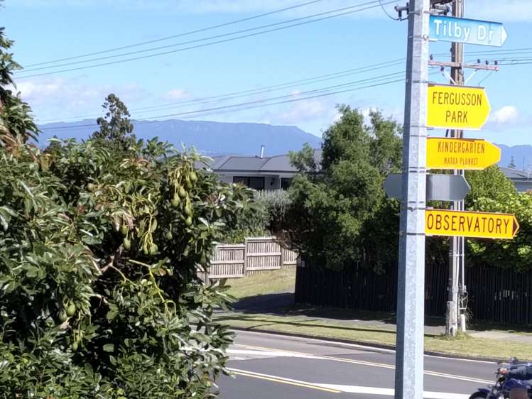 156 Levers Road Matua_25