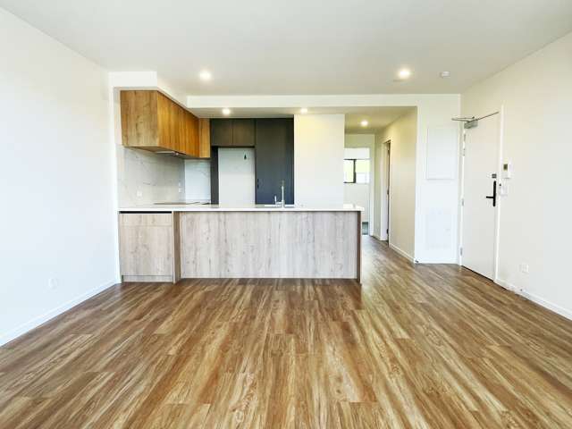 103/3 Dishy Road Flat Bush_1