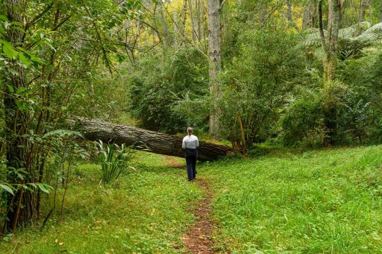 125 Boscabel Drive Ohauiti_10