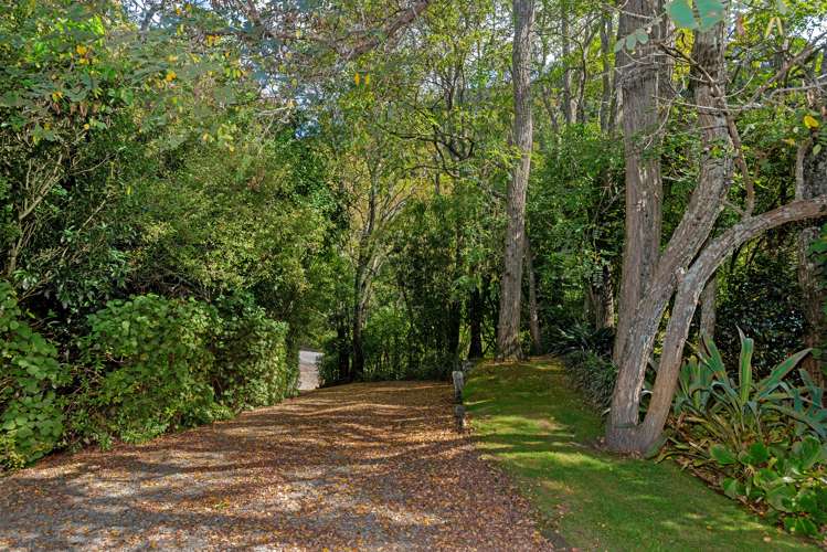 631 Riverside Road Matokitoki_16