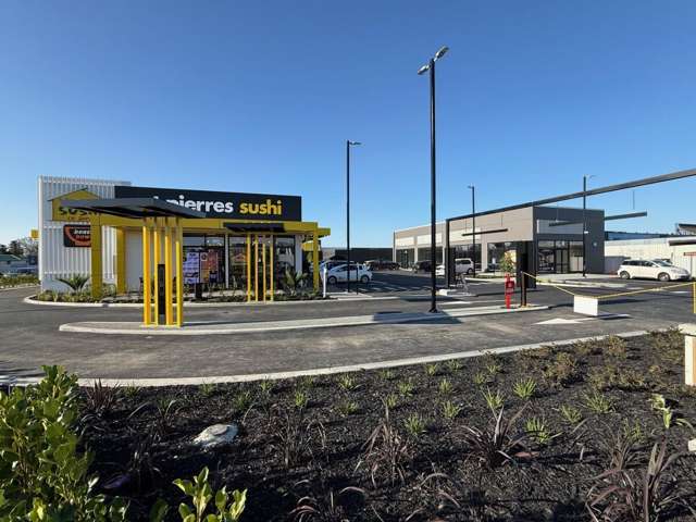 1149 Heretaunga Street West Saint Leonards_3