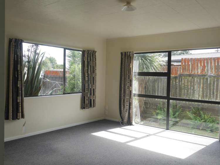 30 Terence Street Tauhara_4