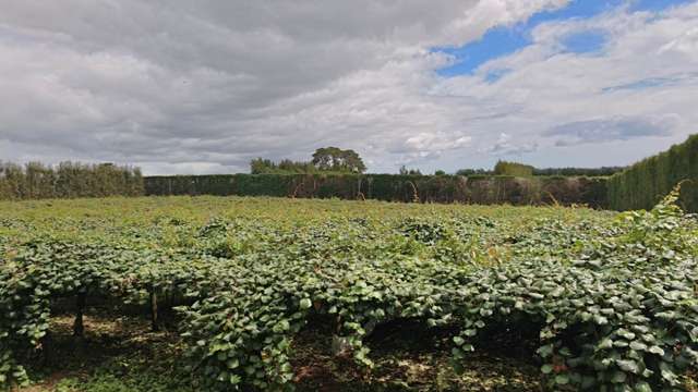 1414b State Highway 10 Kerikeri_4