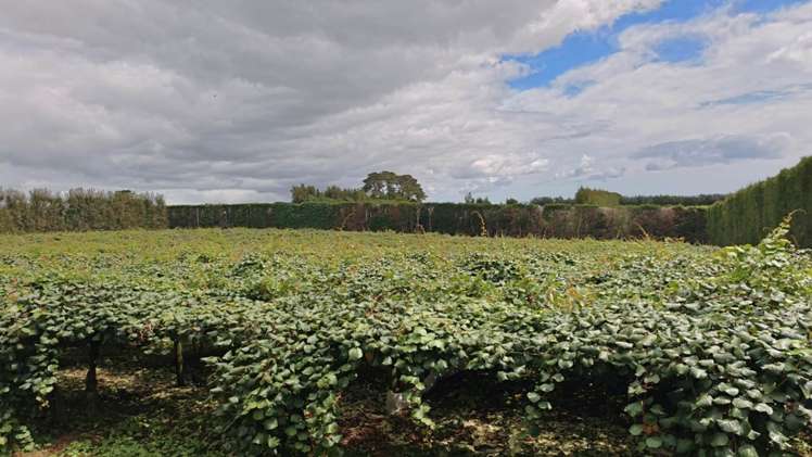 1414b State Highway 10 Kerikeri_4