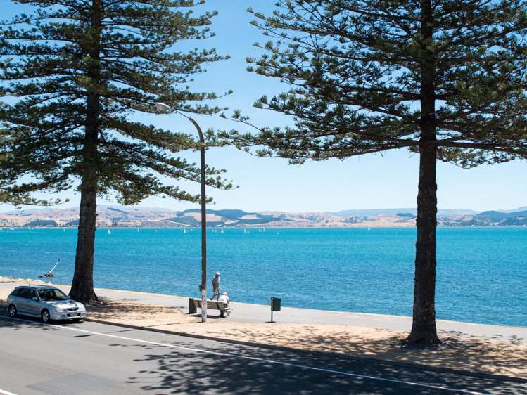 71 Hardinge Road Ahuriri_22