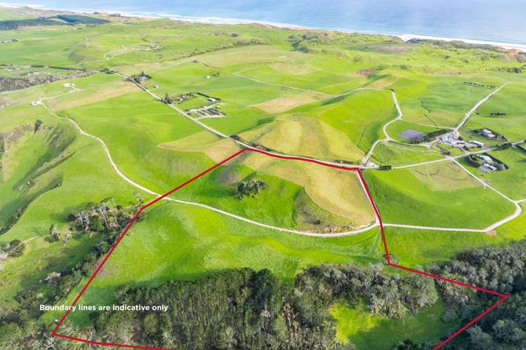 Lots 2, 3 and 4 Mahuta Road Dargaville_7