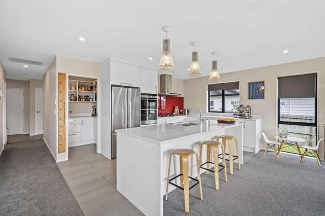 18 Twin Parks Rise Papakura_1