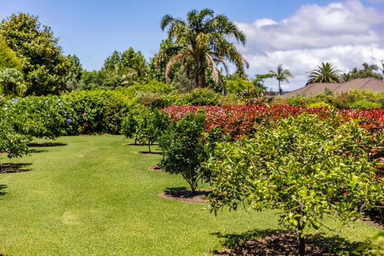 18 Blue Marlin Drive Kerikeri_44