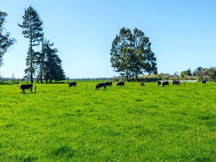 178 Main North Road Geraldine_11