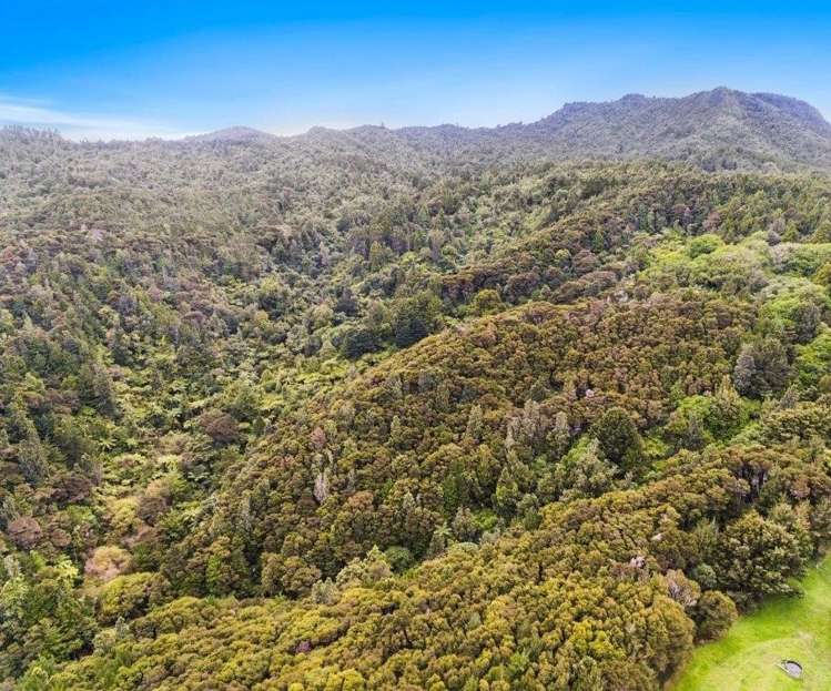 509a Old Maratoto Road Hikutaia_0