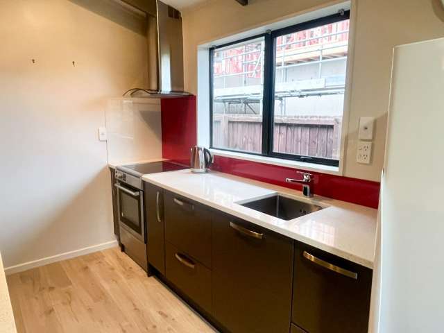 35a Harker Street Spreydon_2