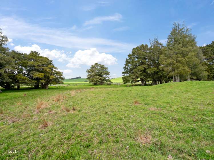 Lot 1 or Lot 2, 0 Roydon Drive Ruatangata West_5