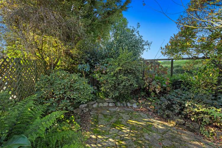 81 College Road Edgecumbe_19
