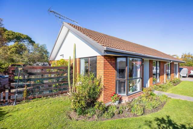 Solid, Sunny & Low-Maintenance