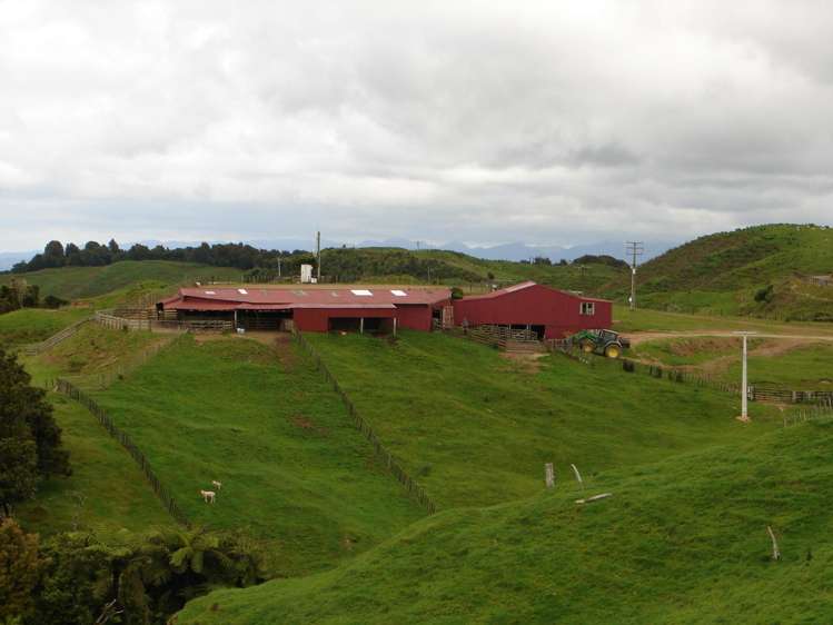 Mahoe Road Waitomo_10