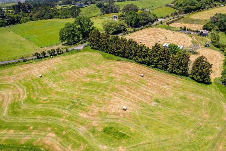 160 Sealy Road Omata_8