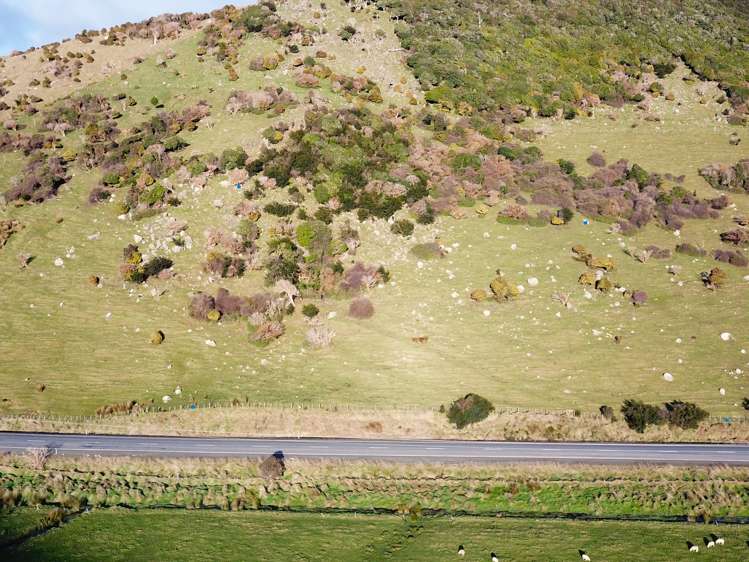 Papatowai Highway Papatowai/Pounawea_7