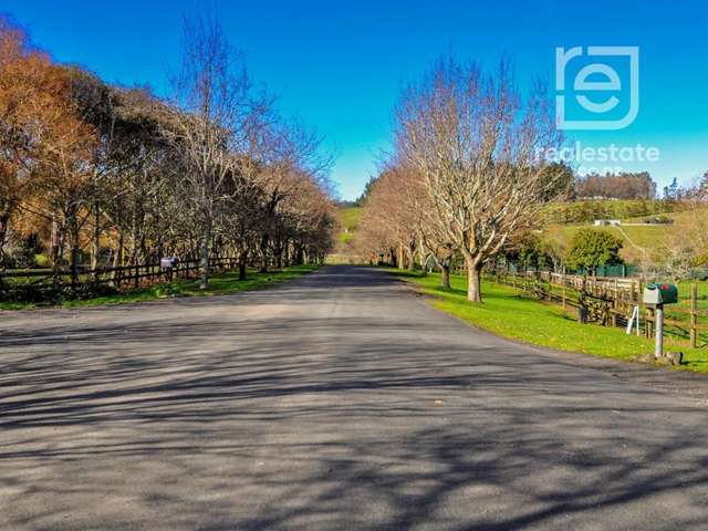 95 Twin Springs Drive Helensville_2