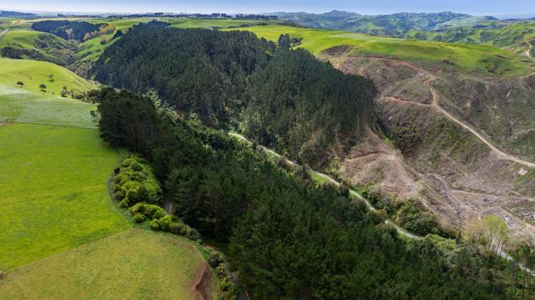 Lot 6 Tangahoe Valley Road Ohangai_9