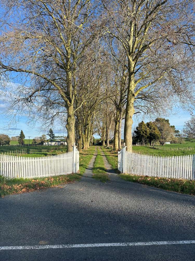 1295 Tauwhare Road Eureka_2