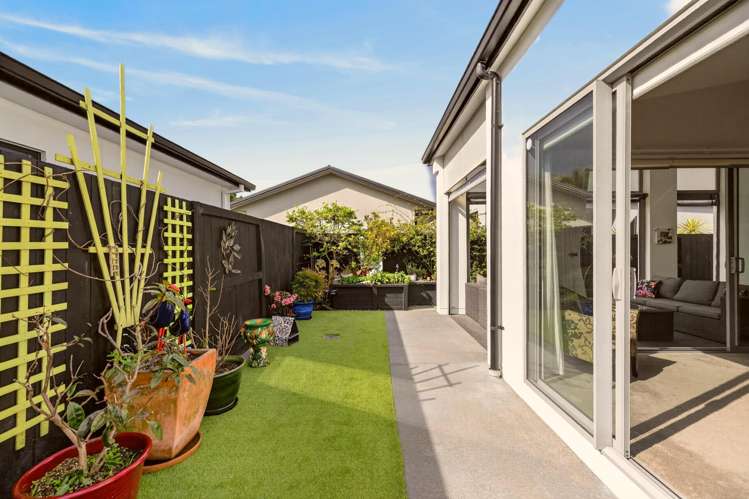 10 Jacob Street Brookfield_18