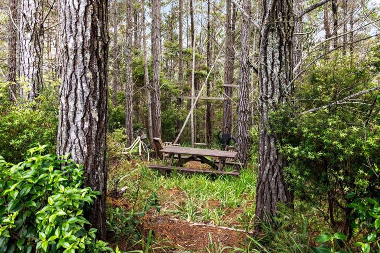 152 West Road Kaukapakapa_32