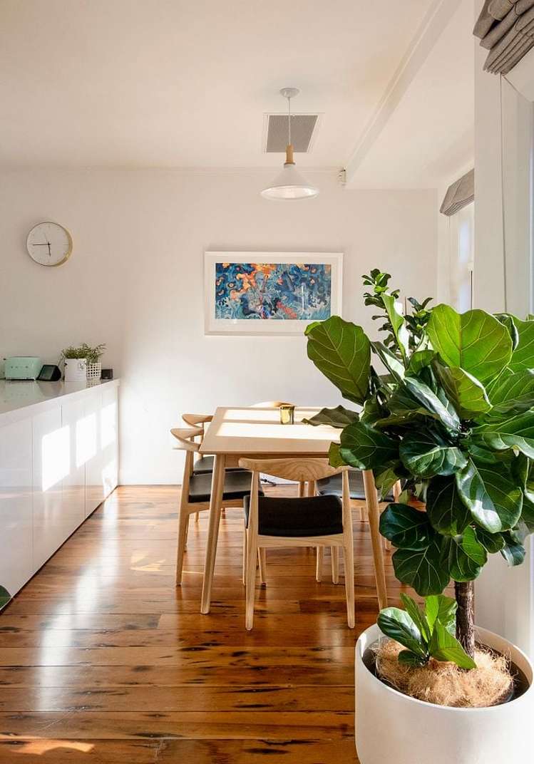 166 Tasman Street Mount Cook_5