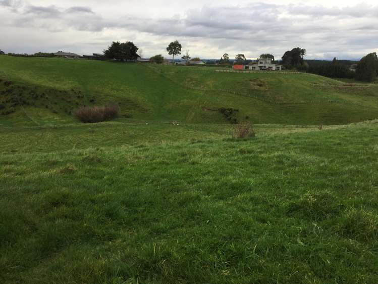 76 Knorp Street Halcombe_5