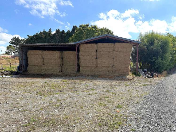 672 Oporo Flat Road Oporo_11