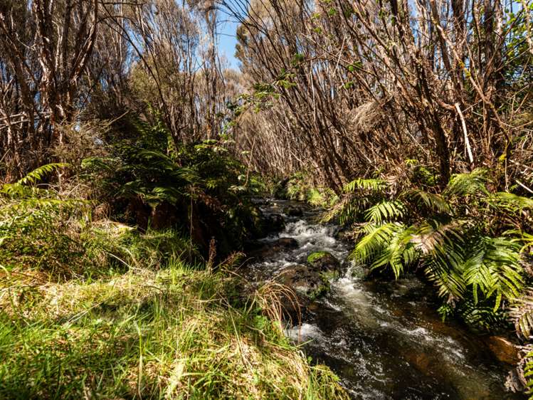 3/133 Matapuna Road Raetihi_18