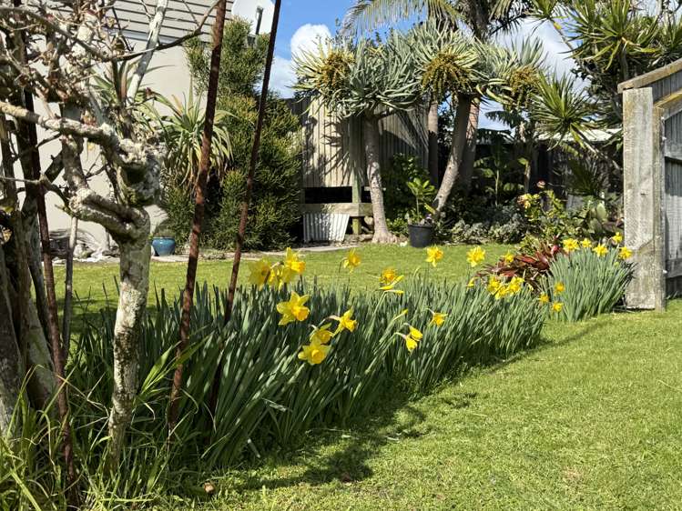 125 Takahe Road Ahipara_38