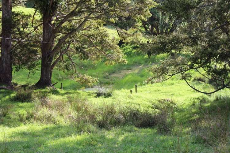 Pipiwai Road Ruatangata_19